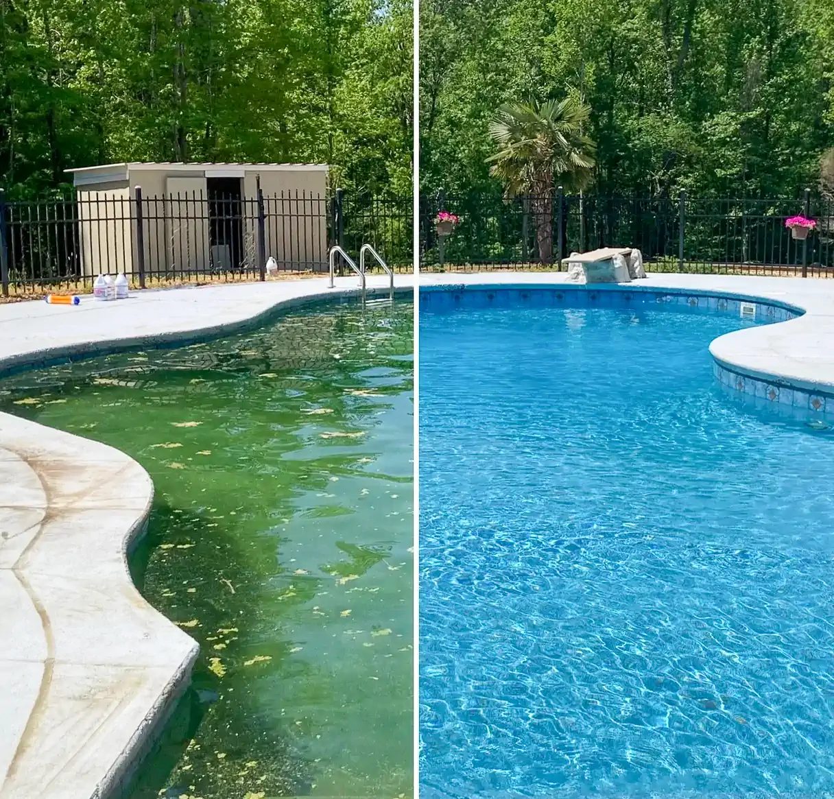 Green pool water transformed into clear blue water after professional treatment