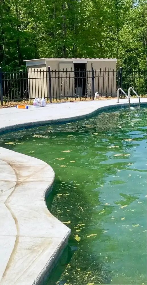 Green algae pool before a recovery treatment