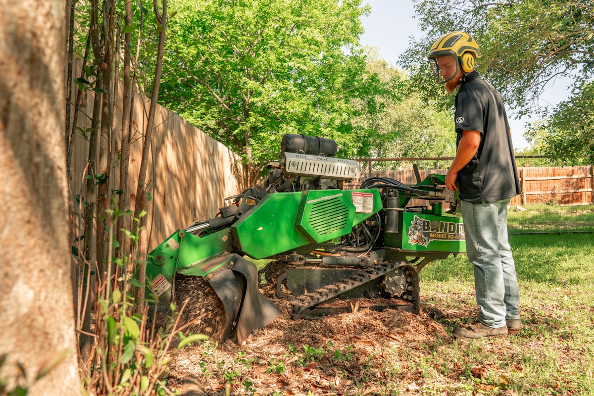 Worker operating a tracked stump grinder beside a fence
